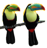 Costa Rica