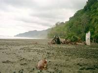 Sandstrand im NP Corcovado